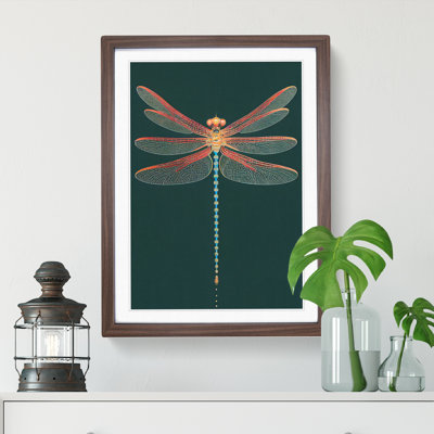 Gentle Dragonfly - Framed Print
