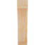 Attelle impériale du genou-31229258-29309855-31229277