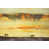 Image Brush Gel selected