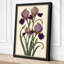 Iris Cluster Botanical - Wrapped Canvas-1093864043-1093864050