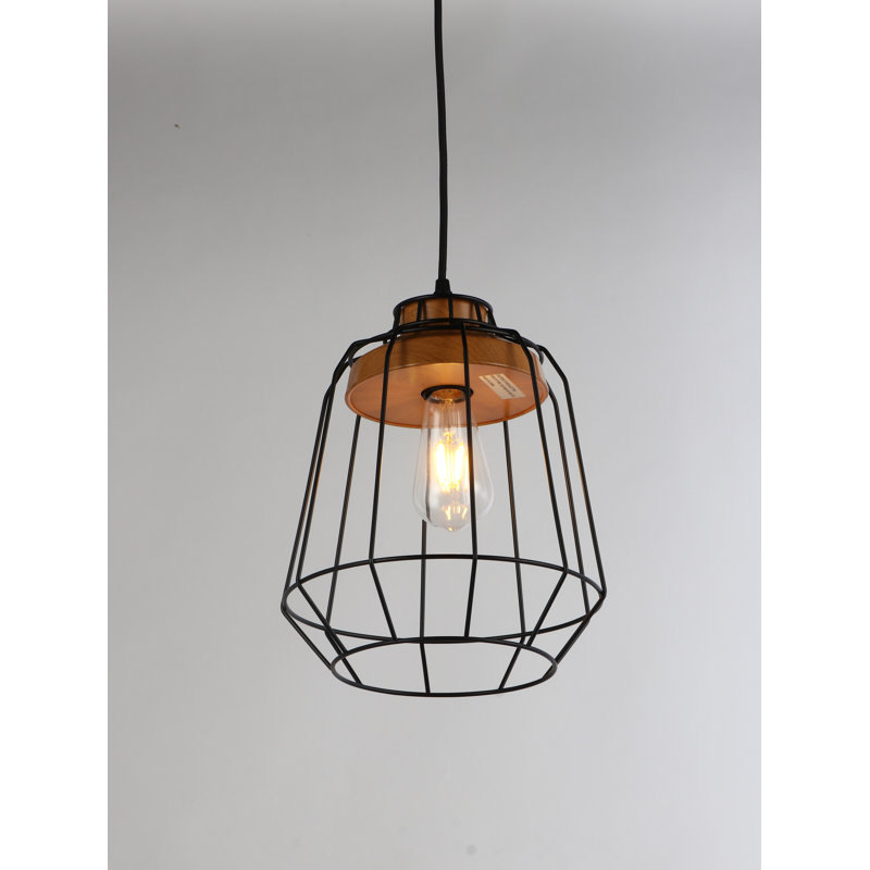 Danilo 1 - Light Single Pendant