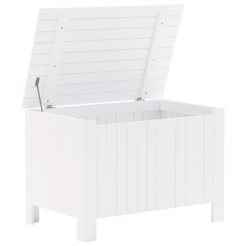 Camp Trunk / Footlocker, White