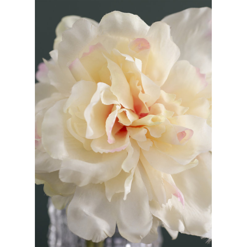 Almost Real 14" Peony - White With Pink, 4 Pack