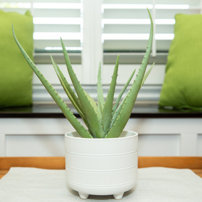 Feuillage artificiel en pot