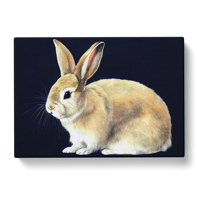Lone Rabbit - Wrapped Canvas, 50cm H x 76cm W x 3cm D