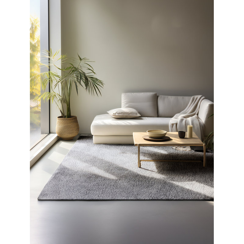 Shaggy Area Rug, Rectangle 80cm x 120cm