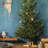 Rustic Live Tree Stand-220712851-183101532