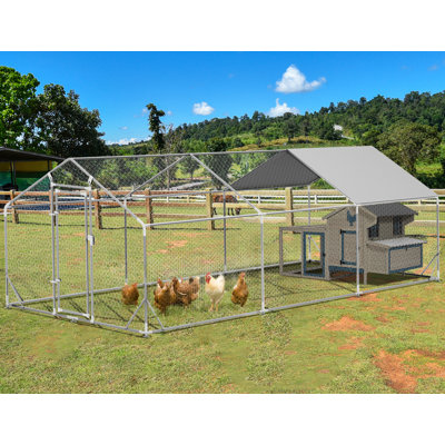 Ellsierose 193.75 Square Feet Chicken Run with Chicken Run for up to 25 Chickens