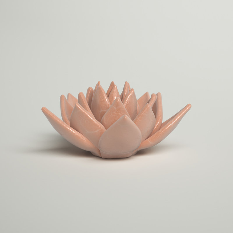 Plante grasse rose en céramique Kallas