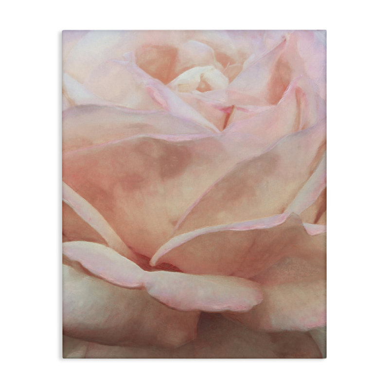 «Soft Soft Rose Petals» par Alonzo Saunders, H 20 po x l 16 po