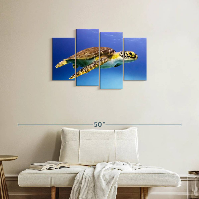 Jeune tortue imbriquée Brampt