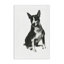 Dessin de chien gris anthracite par Cartissi-1491185457