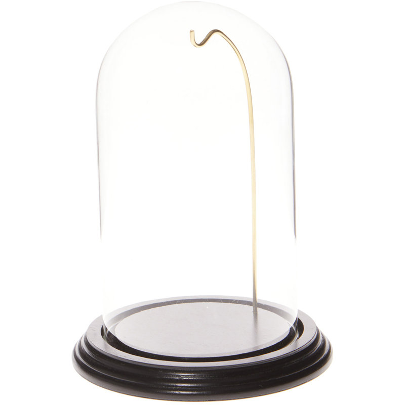 Cloche de dôme en verre pour montre / ornement 4 "x 7", Base noire / fil doré