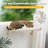 Danta Cat Window Perch Hammock For Kittens Play and Rest