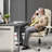Executive Office Chair with 6-point Massage, Footrest-238746061