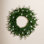 24In. Pre-Lit Artificial Luxembourg Pine Christmas Wreath With 35 Multicolored Traditional Bulb LED Lights