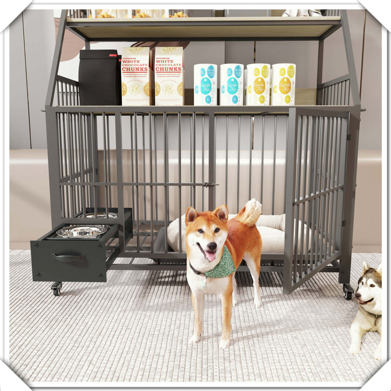Cage robuste pour animaux à double couche avec tiroirs de rangement, Beige/noir