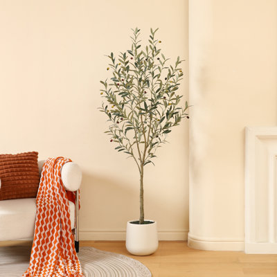 Adcock Faux Olive Tree with Oval White Planter, Pre Potted Fake Greenry Olive Plant for Home Decor