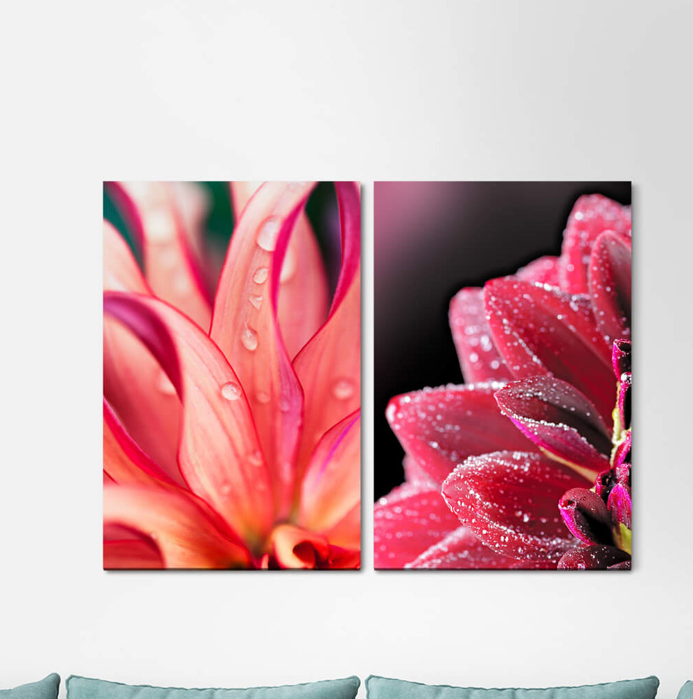 2-tlg. Leinwandbilder-Set - Fotografie „Orchid Blossom Zinnias Flowers Summer Tender Souls Balm”