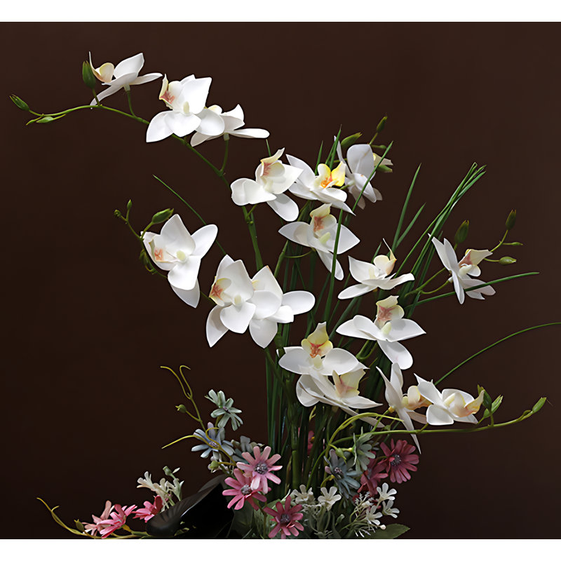 Arrangement d'orchidées, Blanc