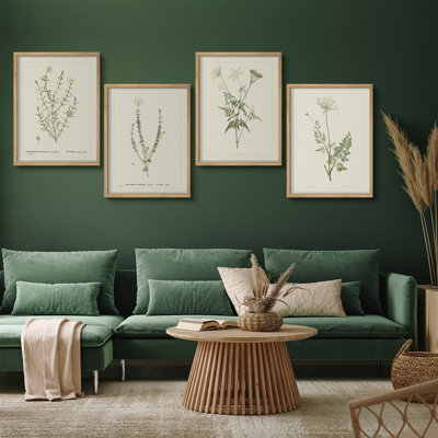 Vintage Botanical Herb Study Framed Wall Art Prints Set of 4 - Classic Plant Collection for Living Room Kitchen