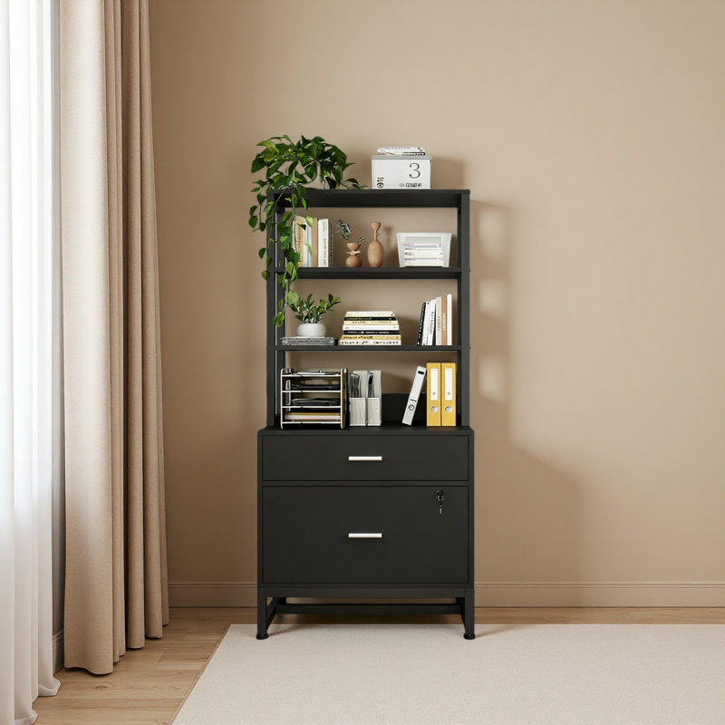 Ample Storage File Cabinet,2-Drawer Cabinet,Sturdy Filing Cabinet, Black