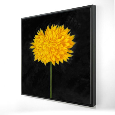 " Yellow Chrysanthemum "