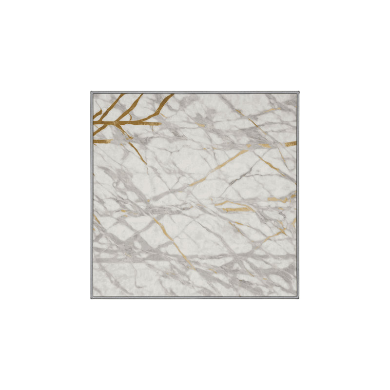 Machine Washable Gray Area Rug, Square 4'