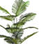 Palmier artificiel avec pot-116807148-116807146