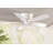 48" Sea Wind 5 - Blade Flush Mount Outdoor Ceiling Fan with Pull Chain-23681215