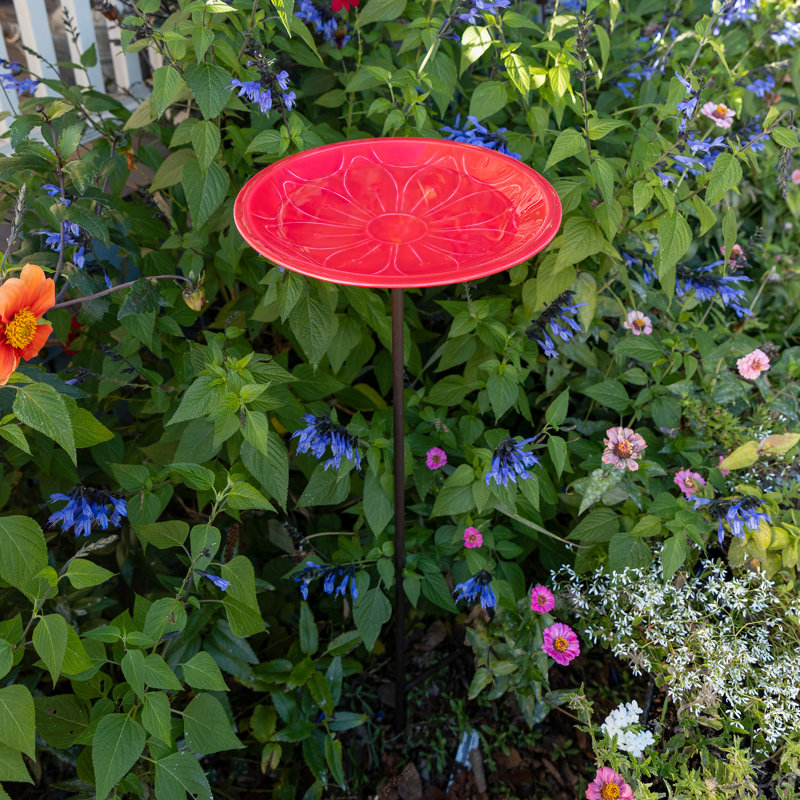Lolly Metal Stake Birdbath, Pink