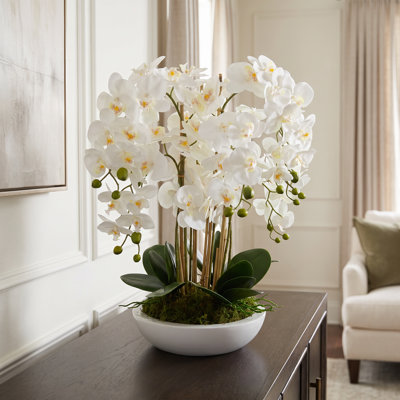 Orchid Arrangement in Fiberstone Planter