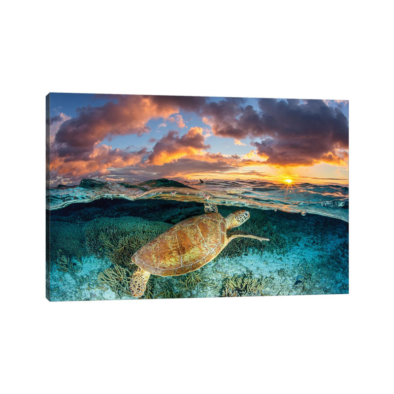 Magic Mornings Great Barrier Reef by Jordan Robins - Wrapped Canvas Print, 20.32 cm H x 30.48 cm W