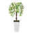 White est en rupture de stock