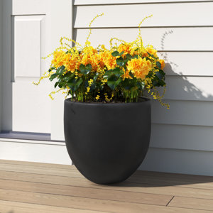 Acushnet Round Indoor/Outdoor Modern Pot Planter with Drainage Hole