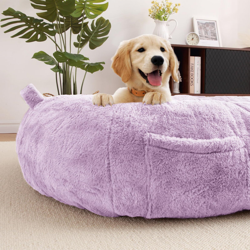 Lit pour chien de taille humaine pour personnes adultes