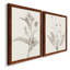 «Neutral Botanical Study VIIP», reproduction d'art encadrée - prête à être accrochée-559107759-558944174-559107760