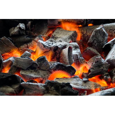 Jonesy Fire by Ritthichai - Wrapped Canvas Print
