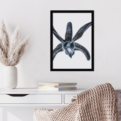 Reproduction d'art encadrée Parkerfield Orchid par Shot par Clint Wood