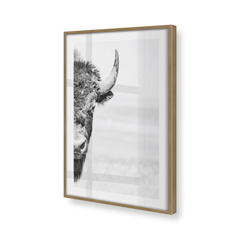 Wild Stare Print, Brushed Gold Framed, 21.25" H x 17.25" W x 1.25" D
