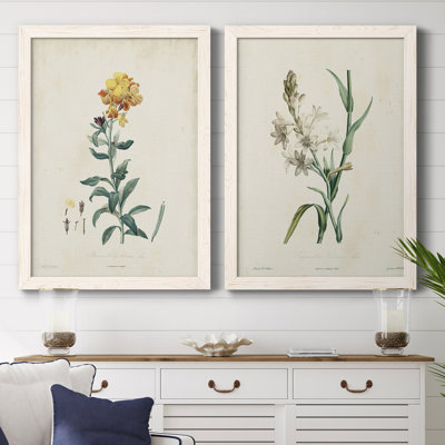 " Botanical III " 2 - Pieces