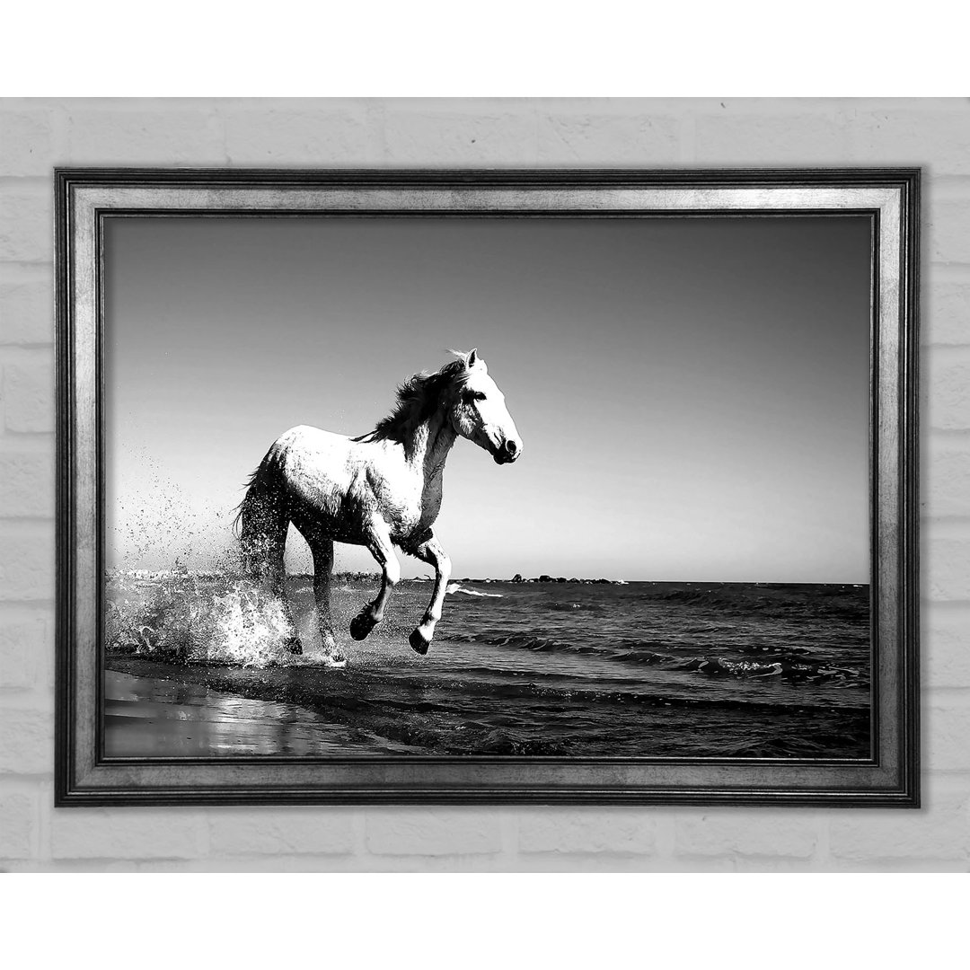 Camargue White Horse - Einzelner Bilderrahmen Kunstdrucke