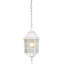 Lanterne suspendue d'extérieur à 1 ampoule H 15,75 po Gillian-30970209
