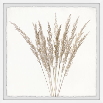Bunch Of Wheat Grass - Single Picture Frame Painting