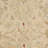 Tingley Hand Tufted Wool Pile Oriental Rug-1692541220