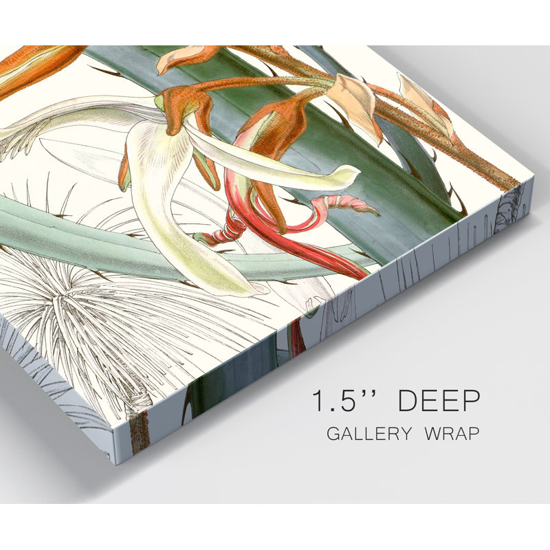« Tropical Variety III », reproduction d’art sur toile tendue, H 48 po x l 32 po x P 1 po