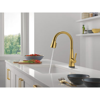 Lenta Touch2O Kitchen Faucet with Touchless Technology