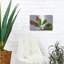 «Botanical» par Dennis Frates-100551118