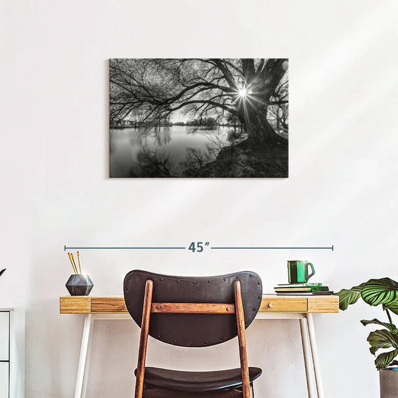 Harnek Sunlight Through Tree, 20" H x 30" W