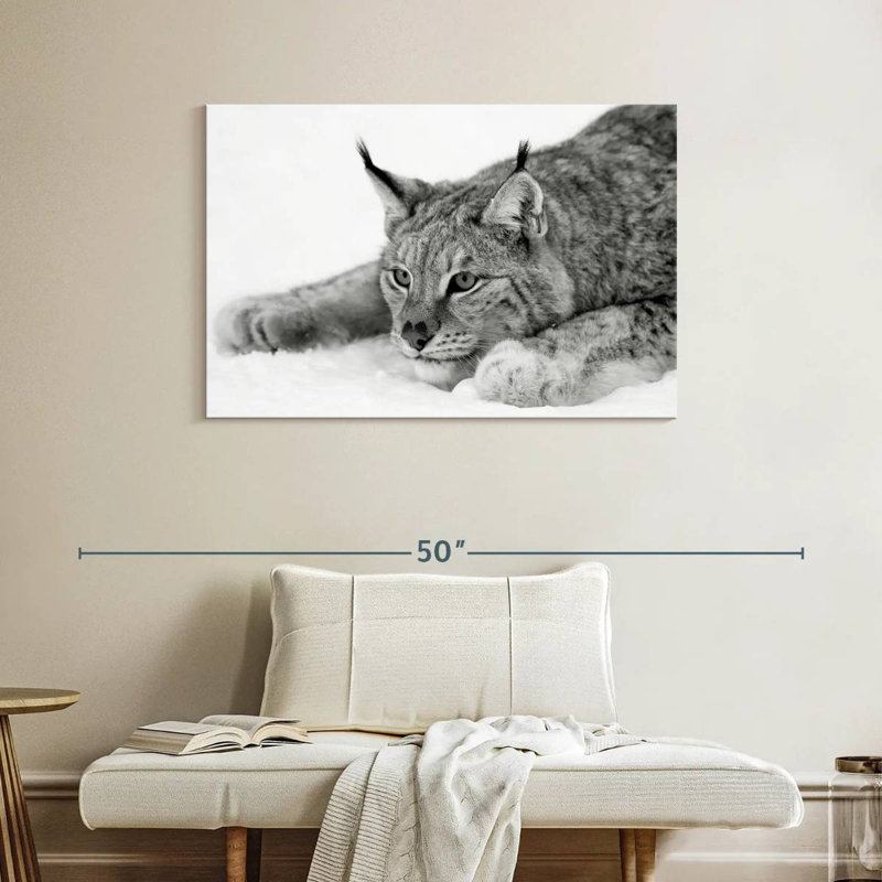 Brampt Lynx BW, 26" H x 39" W